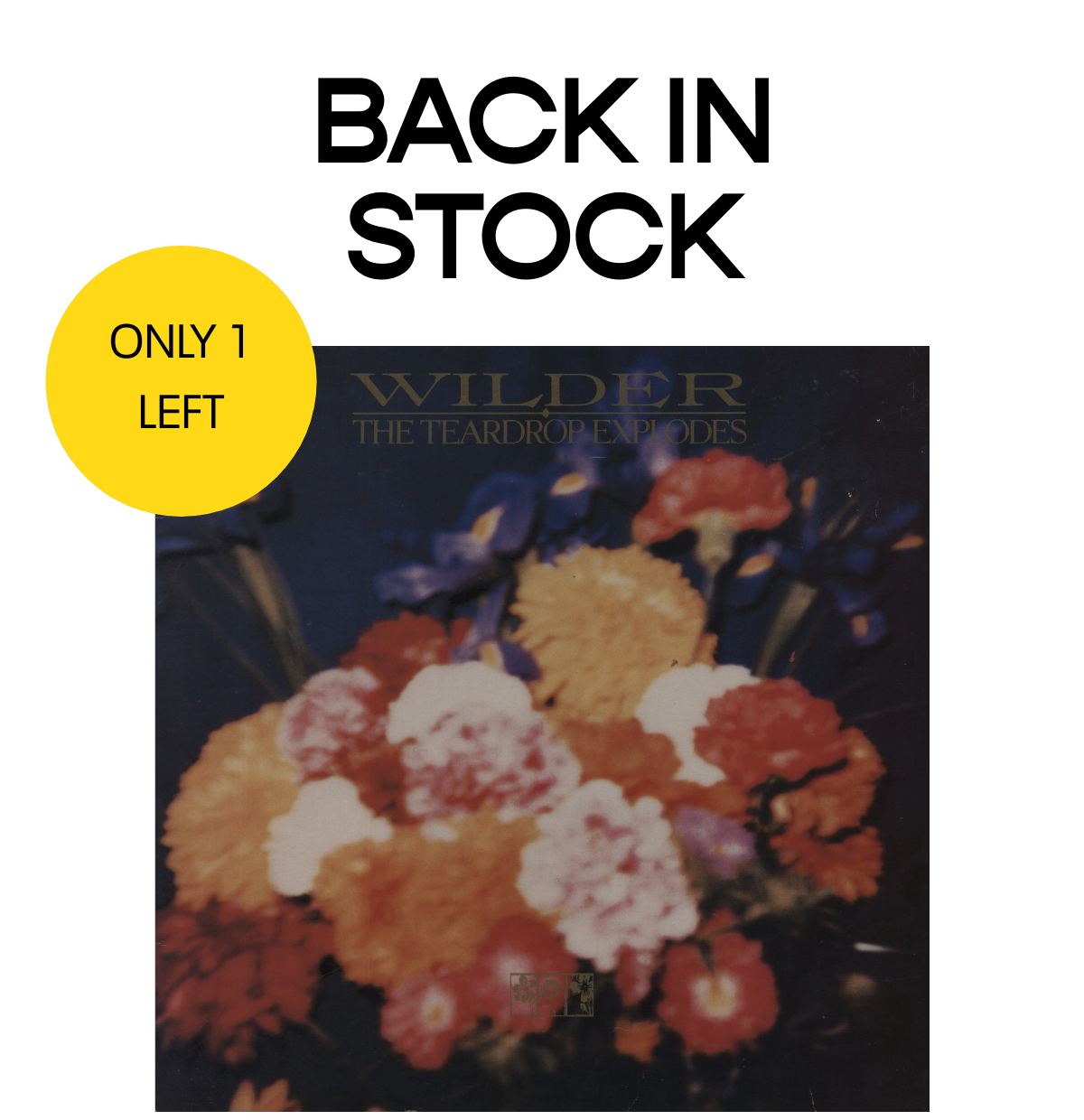  ONLY 1 LEFT BACK IN STOCK